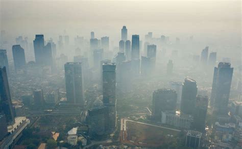 Galeri foto Anime GeNtAi gas tipis pembaruan gratis seumur hidup khawatir polusi plastik — akses sekarang di akses dimulai dari halaman member